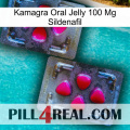 Kamagra Oral Jelly 100Mg Sildenafil 15
